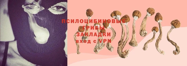 дмт Верхний Тагил
