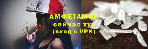 амф Туринск