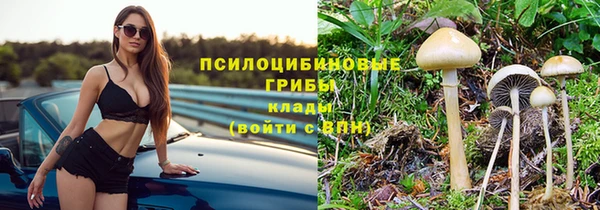 ПСИЛОЦИБИНОВЫЕ ГРИБЫ Верхнеуральск