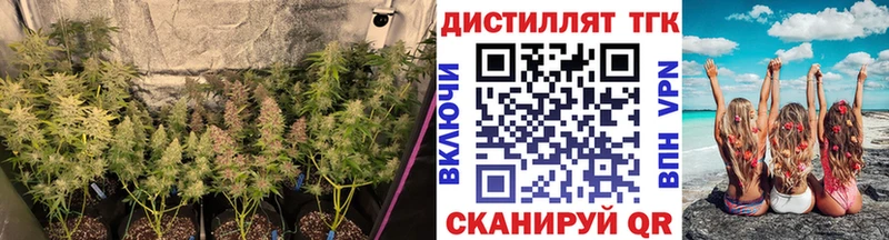 Дистиллят ТГК гашишное масло  Кирово-Чепецк 