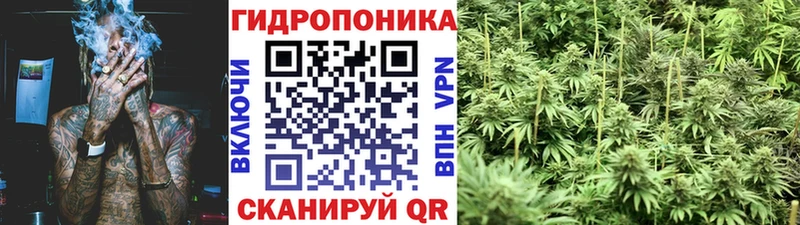 кракен   Кирово-Чепецк  Канабис конопля 